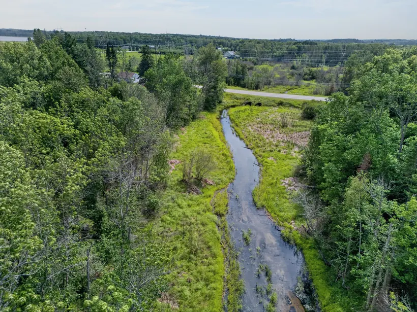 Aerial view along Bass Brook