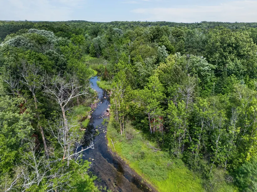 Bass Brook winding through the surrounding woods